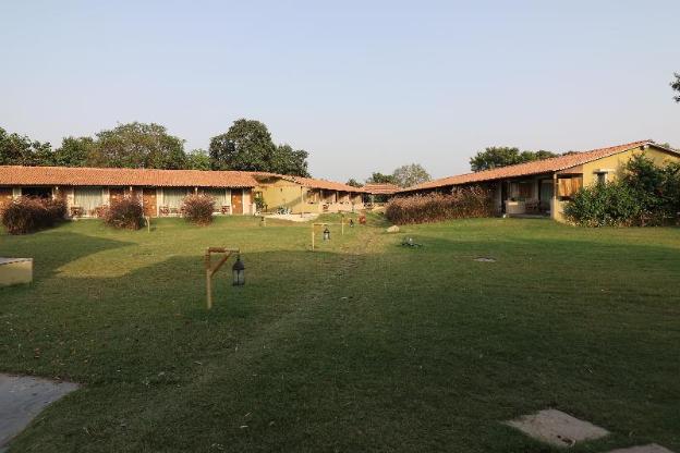 asiatic lion lodge