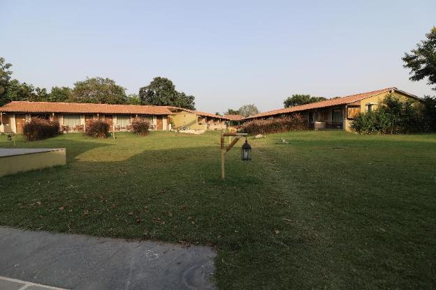 asiatic lion lodge
