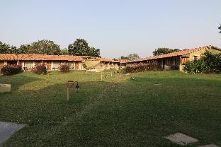 asiatic lion lodge