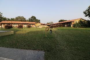 asiatic lion lodge