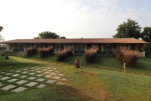 asiatic lion lodge