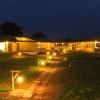 asiatic lion lodge