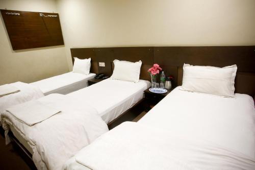 hotel nandini