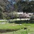 golden heritage apartments beechworth