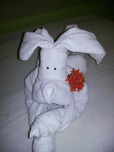 pousada farol do porto