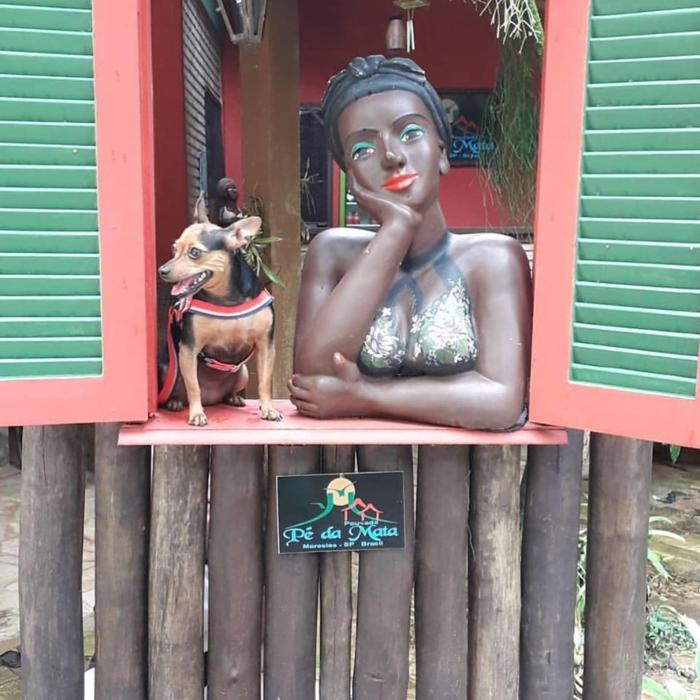 pousada pe da mata maresias