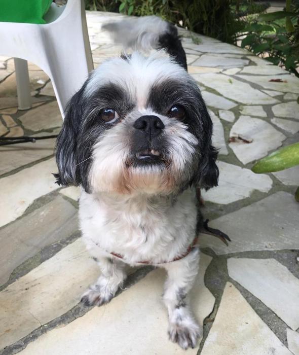 pousada pe da mata maresias