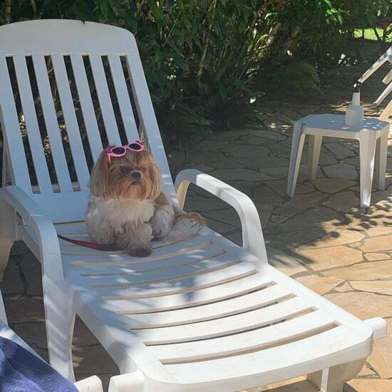 pousada pe da mata maresias