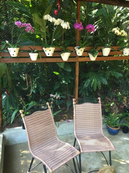 pousada pe da mata maresias