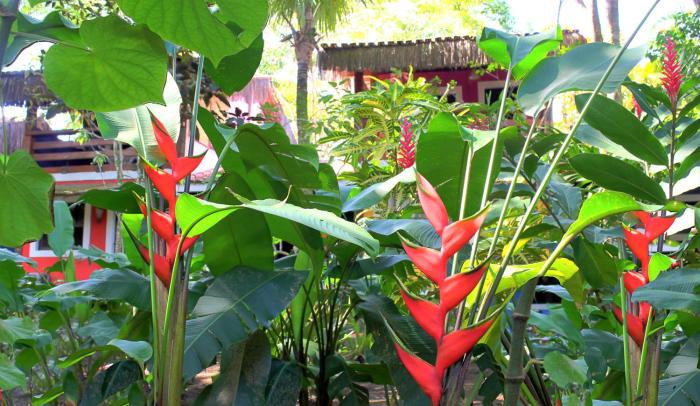 pousada calypso