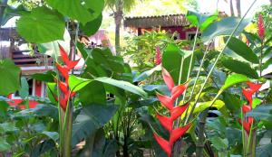 pousada calypso