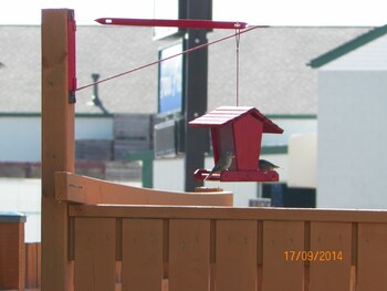 sun parlor motel