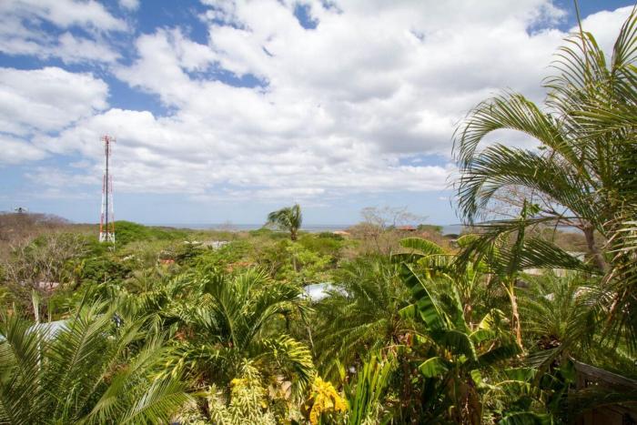 hotel tamarindo village