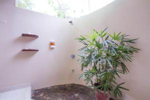 hotel tamarindo village