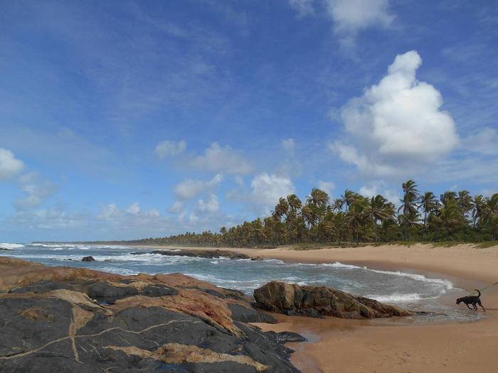 pousada aracas village