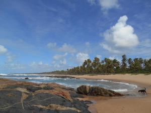 pousada aracas village