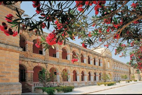 sprachcaffe international