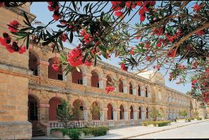 sprachcaffe international