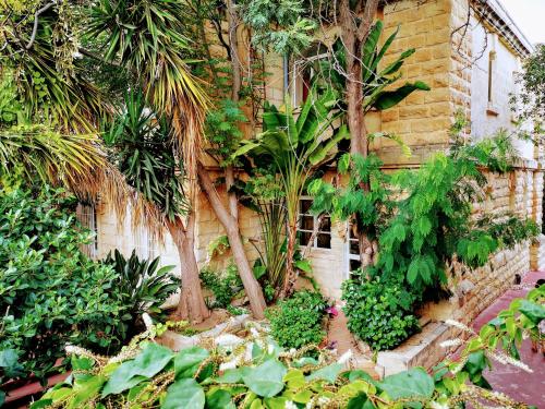 sprachcaffe international