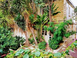 sprachcaffe international