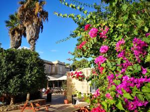 sprachcaffe international