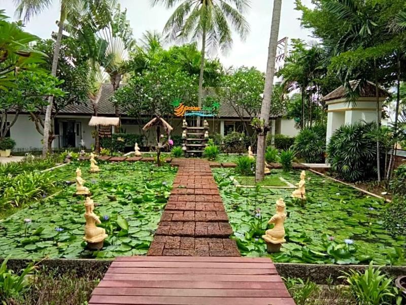 golden pine beach resort and spa