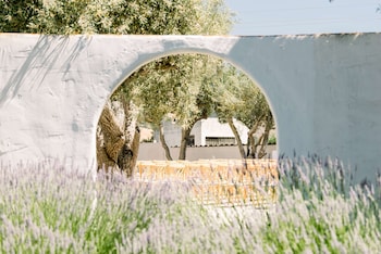 hacienda de leal bw signature collection