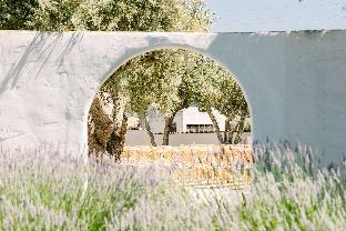 hacienda de leal bw signature collection