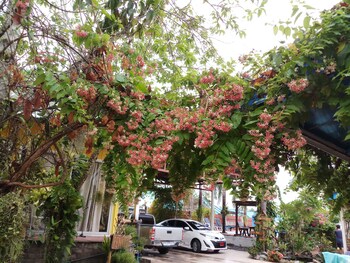 pennys home stay resort