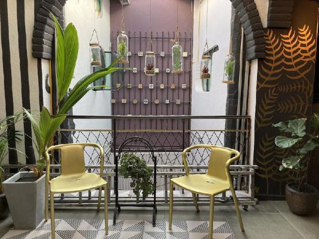 coyotito beds san angel