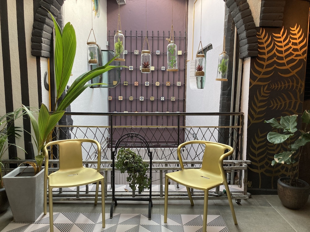 coyotito beds san angel