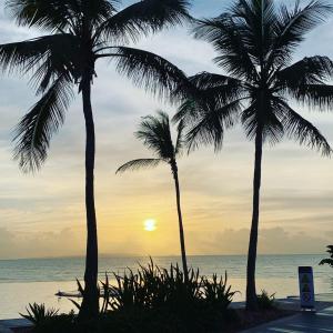 oshen holiday apartments yeppoon
