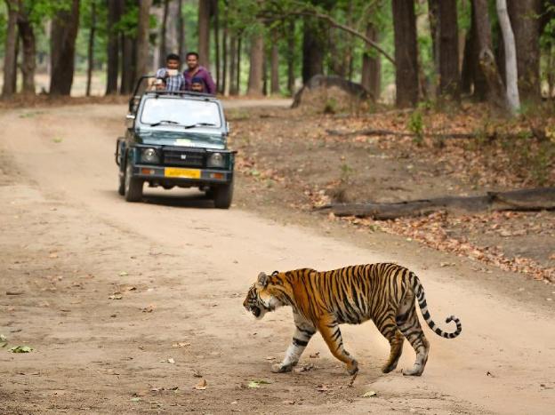 singinawa jungle lodge kanha