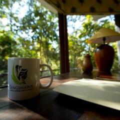 singinawa jungle lodge kanha