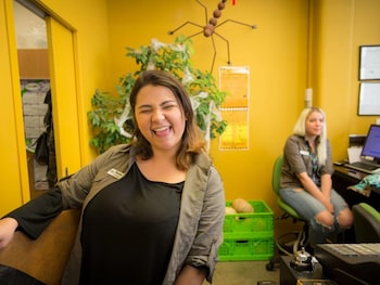 Trek Global Backpackers,Wellington>>Te Aro,4 star