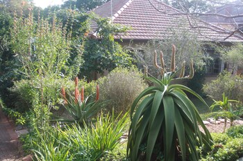 Mackaya Bella Guest House,Durban>>Berea,4 star