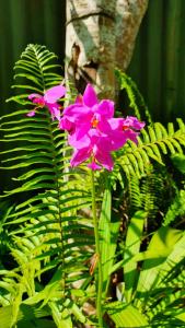 dunes unawatuna hotel