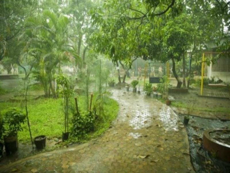 srushti farms resort