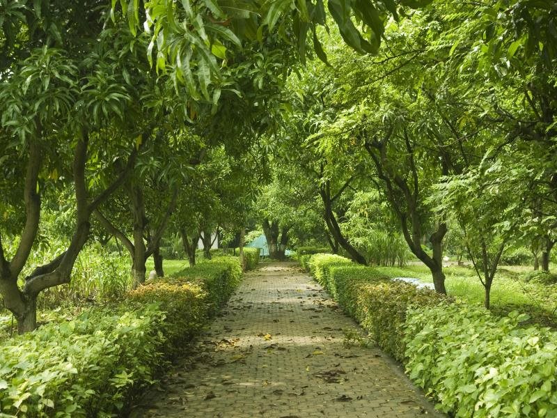 srushti farms resort