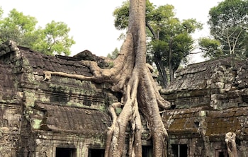 Sokkhak Boutique Resort,Wat Thmei>>Siem Reap,4 star