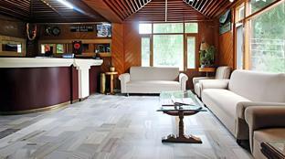 zarim hotel manali