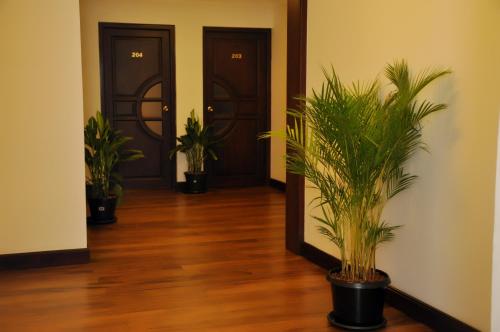 Cafe Aroma Inn,Nuwara Eliya>>Kandy,3 star