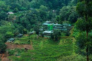 Ramboda Falls Hotel,Near Ramboda Falls,4 star