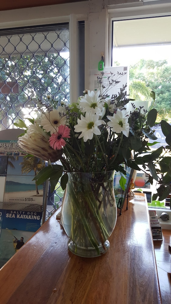 ocean view motel bowen