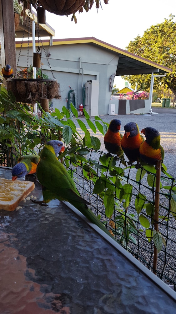 ocean view motel bowen