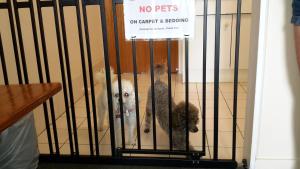 ocean view motel bowen