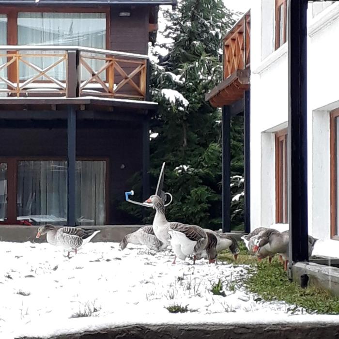 villa huapi