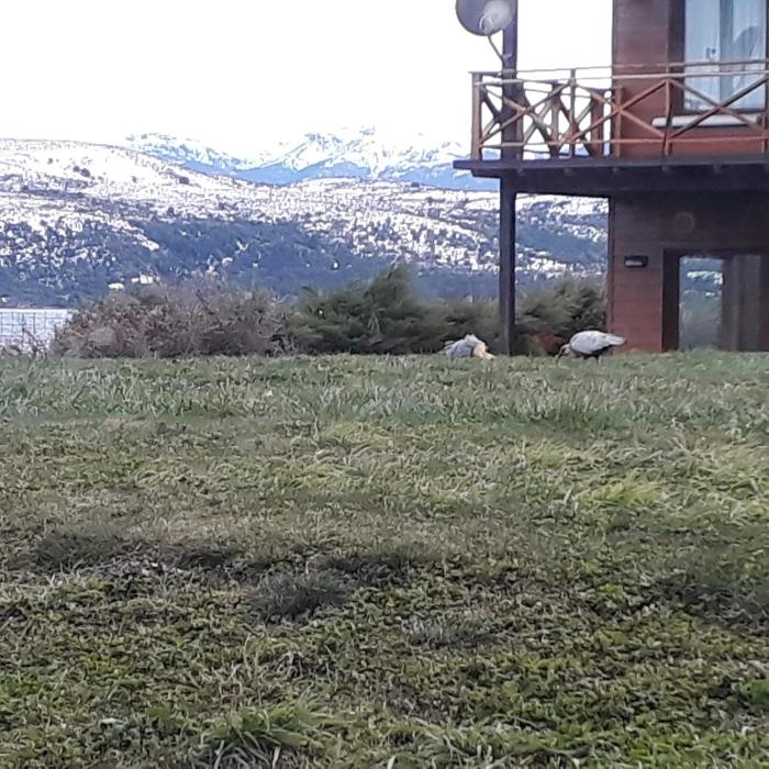 villa huapi
