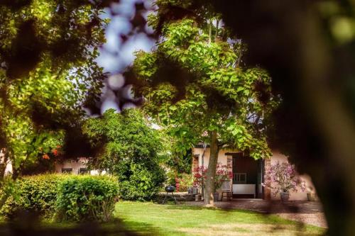 saint jean de thurigneux