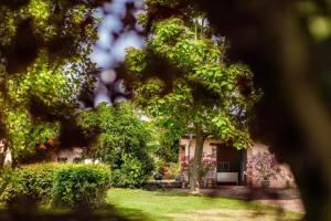 saint jean de thurigneux